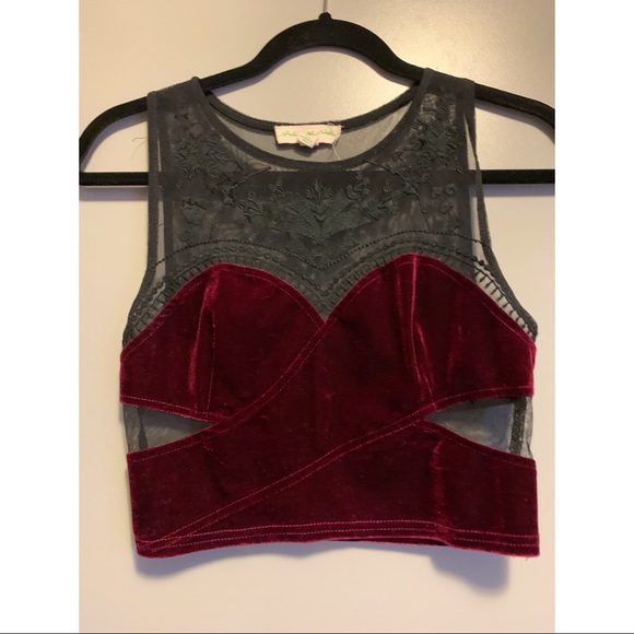 STARING AT STARS velvet & lace crop top - Picture 1 of 5